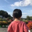 맑은샘농장 이미지