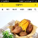 땅끝제일영농조합 네이버블로그