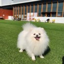 털로덮인 친구들 이미지