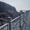 카페뮈 | 실미도 캠핑장 유원지 차박 캠핑vs 하나개 해수욕장 데크길 산책. 방문 비교 리뷰