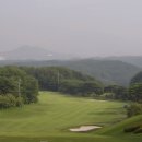 주식회사 보라 네이버블로그