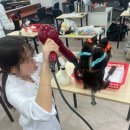 헤어미용기능사 자격증 | 부천역미용학원 헤어국가자격증 모의고사 후기