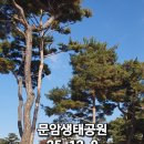 산오름공원 이미지