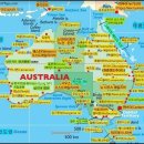 제주연안 연산호 군락지 | 州ㅡ그레이트 배리어 리프( Great Barrier Reef)ㅡ전세계 산호초의 3분의1이 있는 지구 최대 산호 군락지.