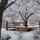 석장골여행 이미지