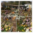 배미꾸미민박 이미지