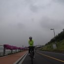 백마농장3 이미지