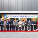 구기자 약초시장 이미지