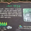 옛이야기 펜션 이미지