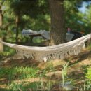 태안 머드캠프 펜션 이미지