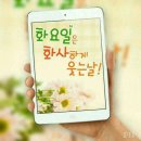 화하 Daum카페