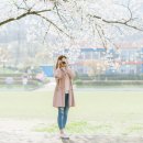 벚꽃엔딩 네이버블로그