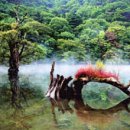 브이아이피여행사 이미지