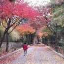 부천테크노파크 이미지