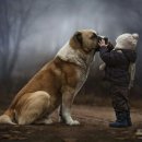 둥개둥개 이미지