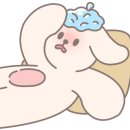 지금여기서행복하개 이미지