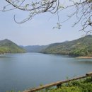 호수정원 이미지