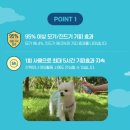 365별빛약국 이미지