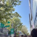 골든루트호텔 | 용인 에버랜드 1박 2일 (골든 튤립호텔 후기)