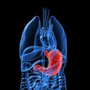 맘편한내과의원 이미지