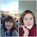 인셀덤V스타