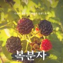 자연농장고향밥상 이미지