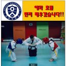 드림아이태권도 이미지