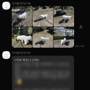 호야켄넬 이미지