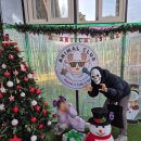 칼라노래방 | 평택키즈카페 실내동물원 아이랑 애니멀클럽 방문!