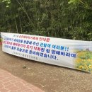 강주마을회관 | [함안] 강주해바라기축제 후기