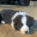 폼스하우스 이미지