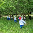 한림유치원 유아들의 숲체험(2024.5.24 ) 이미지