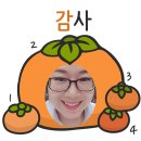 유유아로마 이미지