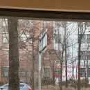 뉴-섬 게스트하우스 | 2026 1월, 내가 만난 사람들