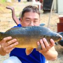 가평낚시터 이미지