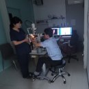 전남낙협동물병원 | 용봉동 동물병원, 강아지 수정체탈구, 눈이 갑자기 맑아졌다면 더 위험할 수 있습니다