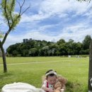 조은컴퍼니 이미지