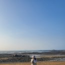 어울림캠핑장 이미지