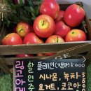 마루탕후루삼정