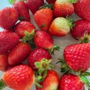 김진성농장 | Shoot to Thrill🖤