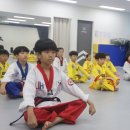 사랑가득 효 태권도 이미지