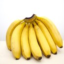 청담마이의원 이미지