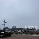 수원-1542 | 시흥] 거북섬 웨이브파크 미오코스타존 주말 방문후기, 아기랑 물놀이, 워터파크, 유아수영장, 여름방학...