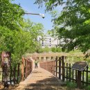 (주)피플존 네이버블로그