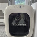 가평베이유키즈풀빌라펜션 이미지