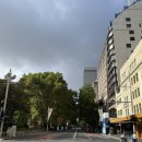 건식넘버원 | 사람없는) 크리스마스를 보내다 | 시드니쉐라톤호텔, 오페라하우스, 하버브릿지, 해쭈마라탕, 넘버원마라탕