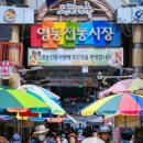 광장전통시장 이미지