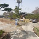 마니빌펜션 | 강화도여행 1박2일숙소 강화도펜션 마니빌