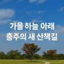 상남생활체육공원 운동장 | 충주 야현체육센터 공원 1탄🌿 예전 공설운동장, 이렇게 달라졌어요