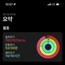 힐링캠프글램핑 이미지